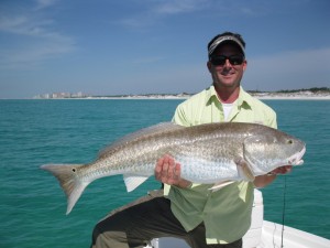 Redfish - navarre fishing charter