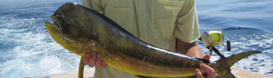 A guest holding a colorful mahi-mahi with ocean spray behind